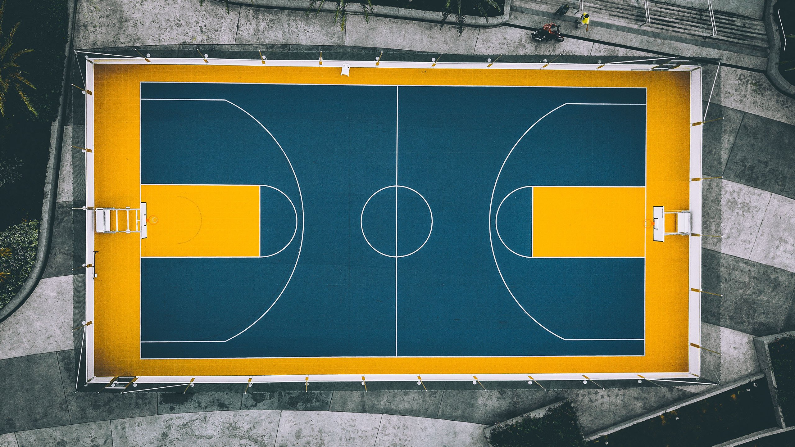 世界杯赛事场馆详解-新秀破纪录！切尔西绝杀夜，Rookie一战封神引全网沸腾
